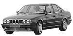 BMW E34 B25A9 Fault Code